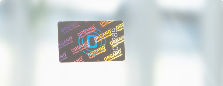 Entspannt telefonieren mit Handy und Schnurlos-Telefon