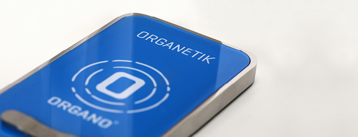 Organetik.SL